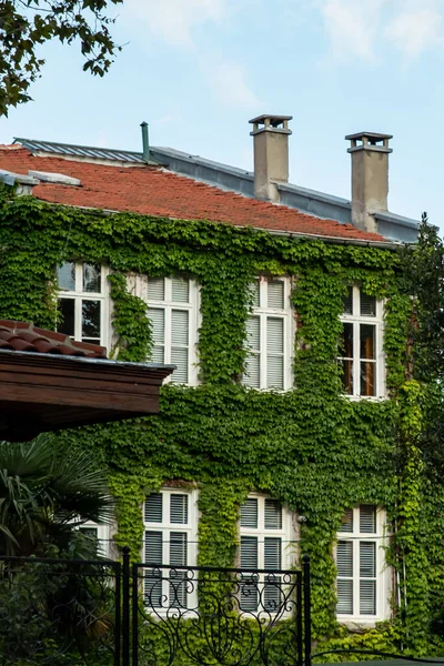 Green plants cover over a building , Green facade, eco house concept. High quality photo