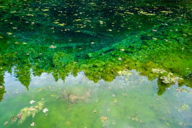 Ormanda el değmemiş göl oluşumu, renkli orman manzaraları. 