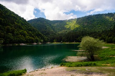 Ormanda el değmemiş göl oluşumu, renkli orman manzaraları. 