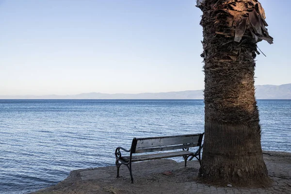 Plajda Içi Boş Bir Bank Palmiye Ağacı Deniz Manzaralı Güzel — Stok fotoğraf