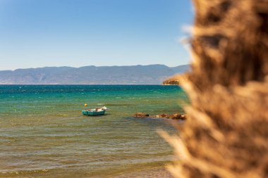 Sahilde boş bir bank, palmiye ağacı. Yüksek kalite fotoğraf