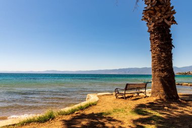 Sahilde boş bir bank, palmiye ağacı. Yüksek kalite fotoğraf