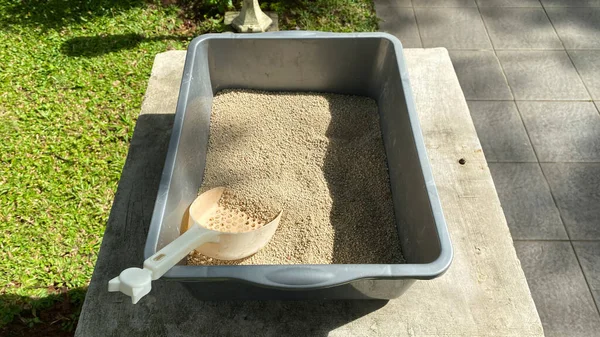 Cat litter box contains sand and shovel on the grass in the morning sun
