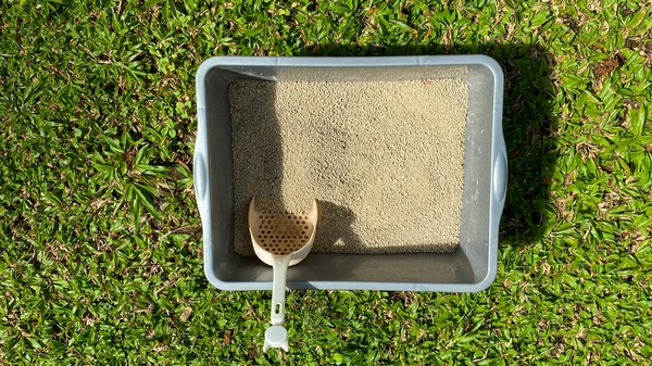 Katzenstreu Box Enthält Sand Und Schaufel Auf Dem Gras Der — Stockfoto