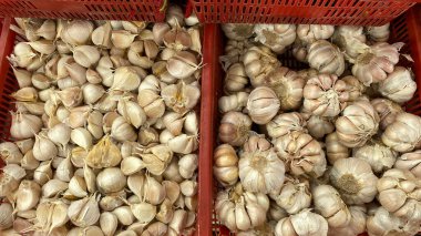 Kırmızı plastik kabın içinde soğan yığını