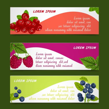 Doğal organik orman böğürtlen bayrakları ahududu böğürtlen tasarım şablonu temsili