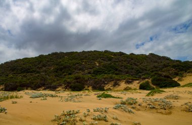 Tayland 'ın kuzeyindeki sahil manzarası