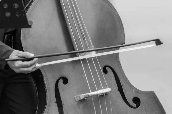 Hombre Toca Contrabajo Durante Concierto —  Fotos de Stock