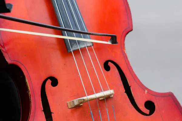 Hombre Toca Contrabajo Durante Concierto —  Fotos de Stock