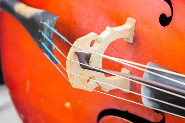 Man Plays Double Bass Concert — Stock Photo, Image