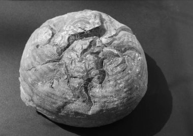 Yazın Ukrayna tahıllı ekmeği