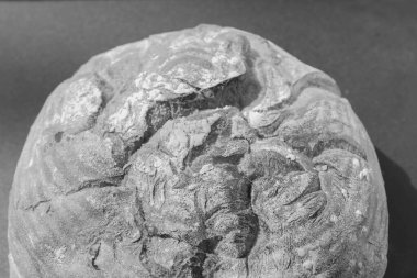 Yazın Ukrayna tahıllı ekmeği