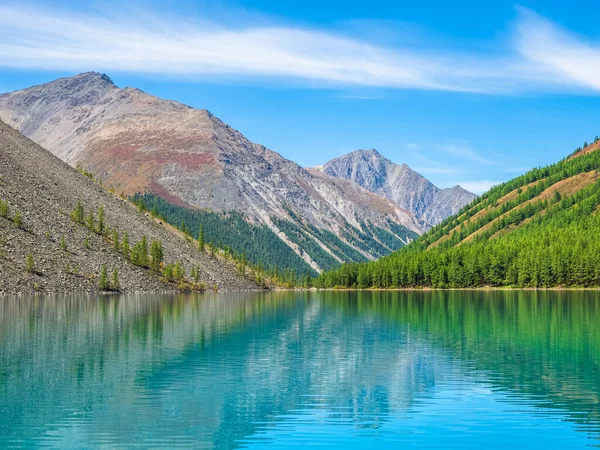 Kleurrijk Landschap Met Helder Bergmeer Bos Tussen Dennenbomen Zonneschijn Helder — Stockfoto