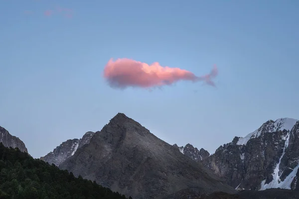 山を越えて夜空に浮かぶクジラのような大きなピンクの雲 — ストック写真