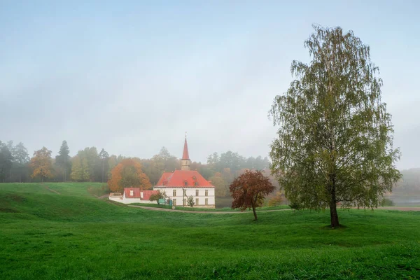 Mjukt Fokus Höstmorgon Landskap Ljusa Höstdimmiga Landskap Med Gyllene Träd — Stockfoto