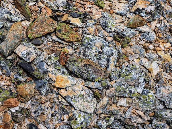 Multicolored Detailed Texture Rocky Mountain Slope Geological Scattering Stones Close — Stock Photo, Image
