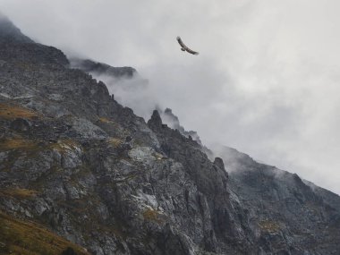 Yumuşak odaklanma. Korku dağı gölgeleri. Dev kayalık dağların arasında dramatik bir sis. Büyük kayalıklara hayali atmosfer manzarası. Alçak bulutlar ve güzel kayalar. Minimalist manzara gizemli bir yer..