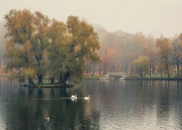 Weicher Fokus Mystische Morgendliche Herbstlandschaft Mit Nebel Über Dem See — Stockfoto