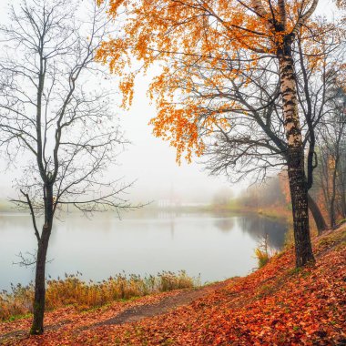 Yumuşak odaklanma. Sisli sonbahar sabahı manzarası. Gölün yanında altın ağaçlar ve eski bir sarayla aydınlık bir sonbahar sisli manzarası. Gatchina. Rusya. 