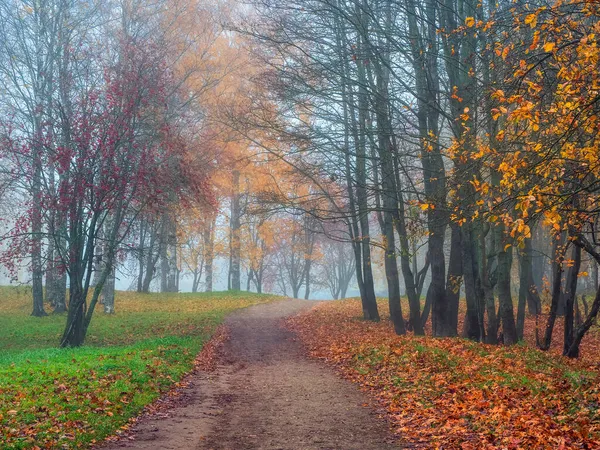 Soft Focus Mystical Autumn Landscape Morning Fog Empty Path Park — Stock Photo, Image