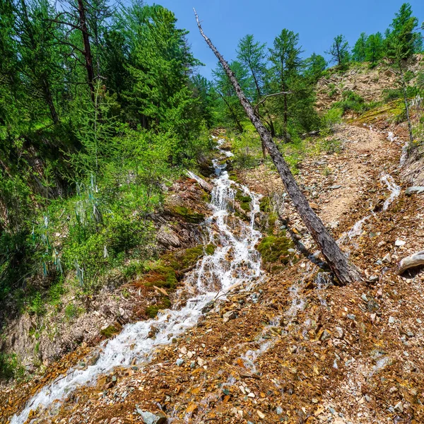 Cachoeira Uma Encosta Ensolarada Montanha Cascata Cascata Nos Alpes Encostas — Fotografia de Stock