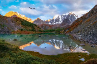 Dramatik bir günde resimli bir dağ gölü, Altai. Dağların, gökyüzünün ve beyaz bulutların güzel yansıması. Panoramik görünüm.