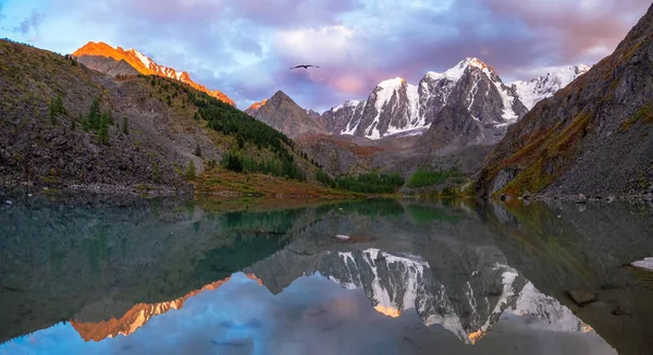 Panoramic View Blue Clean Mountain Lake Altai Siberia Beautiful Turquoise — Stock Photo, Image