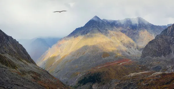 Vallée Montagne Mystique Affiche Automne Des Montagnes Altaï Scène Automne — Photo