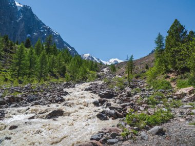 Dağlı fırtınalı nehir eriyen kış karından akıyor. Güneşli tepeler ve kayalar arasında buzul dereleri olan muhteşem dağlık bir manzara. Aktru 'ya yürüyüş yolu. Altai Dağları.