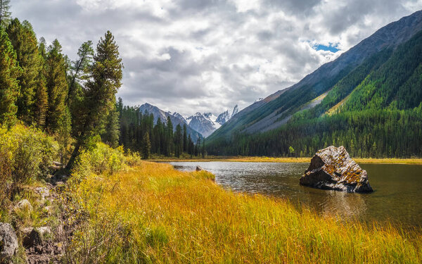 Большой гранитный камень посреди озера. Озеро в горной местности вдоль высокой горы. Болотистое болото горного озера с камнями. Желтый атмосферный природный фон высокогорья.
