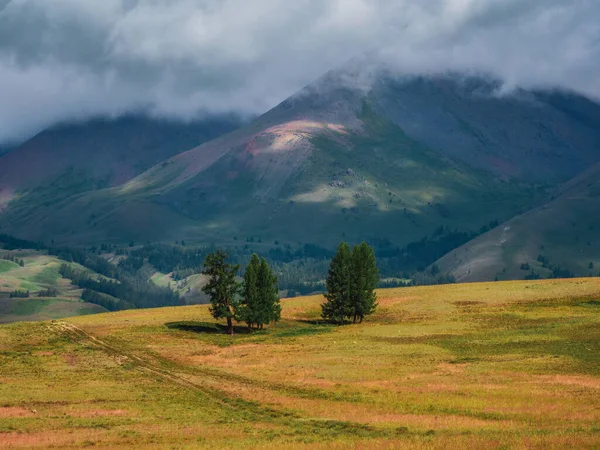 Krásná Dramatická Zelená Horská Krajina Dlouhou Stezkou Atmosférické Mlhavé Horské — Stock fotografie