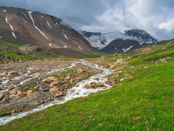 Zelená Alpská Vrchovina Horský Potok Teče Ledovce Krásná Alpská Krajina — Stock fotografie