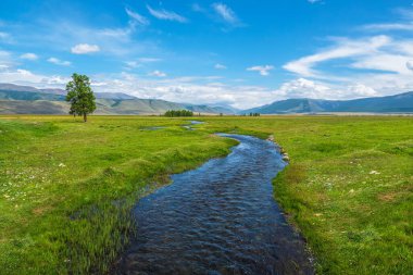Mavi dağ nehri geniş yeşil bir ovanın içinden akar. Hızlı bir nehirde gök mavisi suyu olan güzel bir dağ manzarası. Dağların güçlü görkemli doğası..