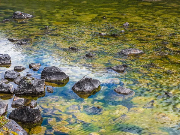 蓝绿色透明水中石底的美丽自然背景 绿油油的自然背景和潮湿的表面 沼泽山湖高地野生植物区系景观 — 图库照片