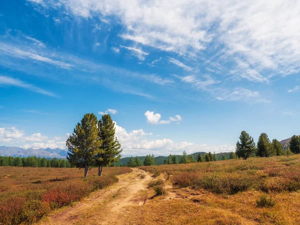 Sonbahar yaylası. Dağ yolunda yürüyorum. Parlak bir atmosferik minimalist Alp manzarası. Dağlık arazideki otlar arasında kayalık bir yol var.. 