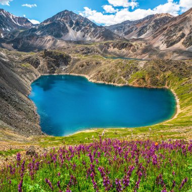 Lanet olası Alp çayırı. Mavi kalp gölü üzerinde açan mor çiçekli yeşil yaz çayırı. Alp dağları. Dağlık arazinin çiçek açan çayırı. Kare görünüm.