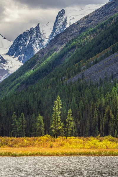 Vertikální Malebná Podzimní Krajina Horským Jezerem Výhledem Lesní Stráň Slunečná — Stock fotografie