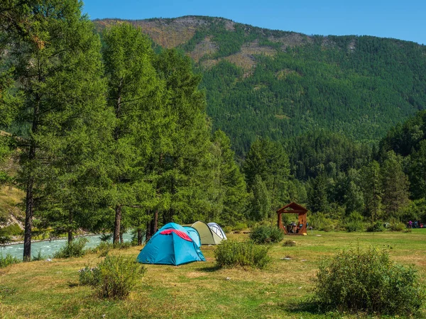 Camping Colectivo Lugar Verde Ecológico Tiendas Turísticas Césped Verde Campamento — Foto de Stock