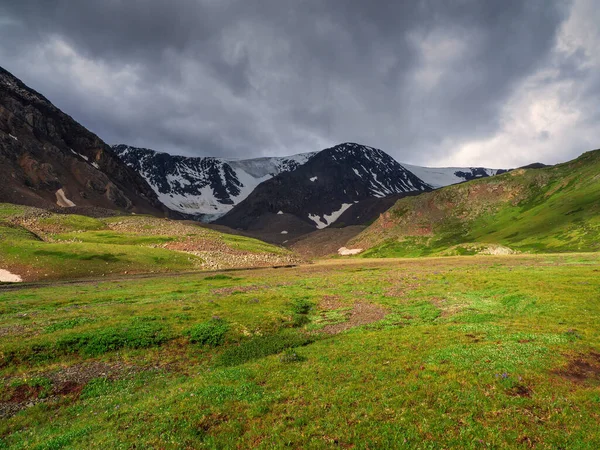 Зеленое Летнее Альпийское Плато Солнечный День Ярким Темным Небом — стоковое фото