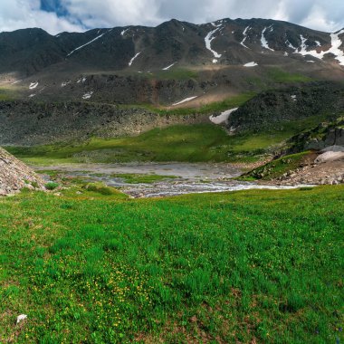 Green clear meadow of the highlands. Untouched nature, eco-friendly landscape. Summer square background of the Alpine highlands. 
