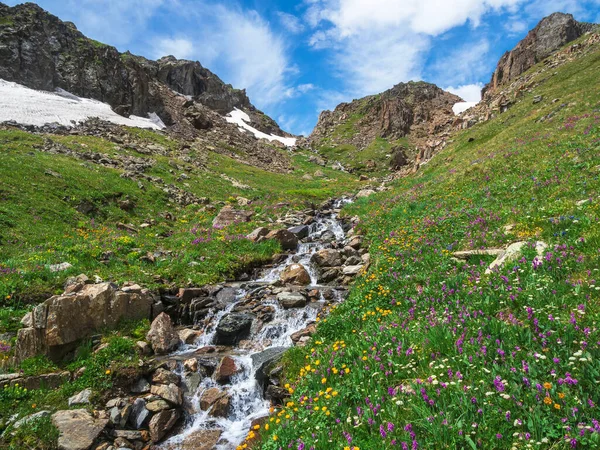 Spring Mountains Bright Natural Green Alpine Highlands Background Eco Friendly — Stok fotoğraf