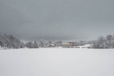 Minimalistic winter background with a village on the shore of a snow cover by the lake. Lots of snow winter countryside landscape.