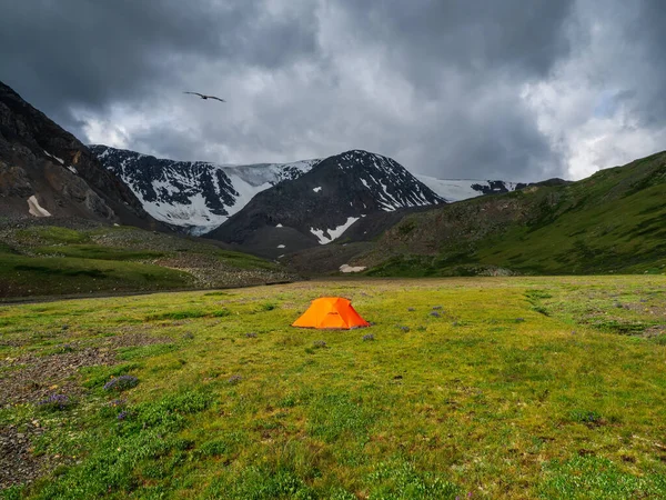 Acampar Meseta Verano Verde Gran Altitud Paisaje Nublado Con Carpa — Foto de Stock