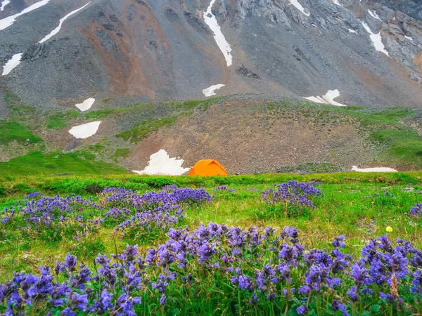 Camping Summer Green High Altitude Plateau Overcast Landscape Vivid Orange — Stok fotoğraf