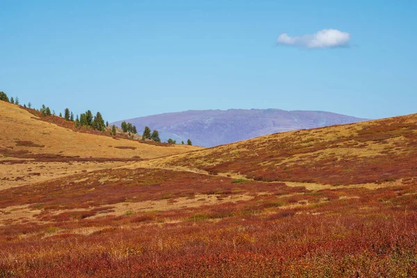 Мінімальні Гірські Пейзажі Схилом Пагорба Золотому Сонячному Світлі Восени Пастельних — стокове фото