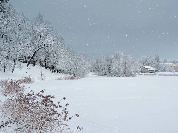 Minimalistic Winter Background Village Shore Snow Cover Lake Lots Snow — Stock Photo, Image