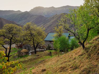 Picturesque old spring garden of the mountain village. Old village in Dagestan. Rural stone house in a village in Dagestan. Russia.