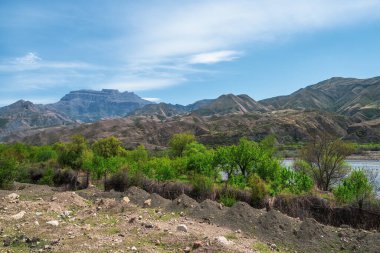 Quarry in greenery. Lush greenery and mountain slopes. Chalk coast with the growing greenery.