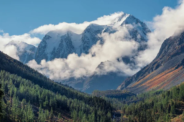 Vue Imprenable Depuis Les Conifères Ensoleillés Jusqu Vallée Forêt Sapins — Photo