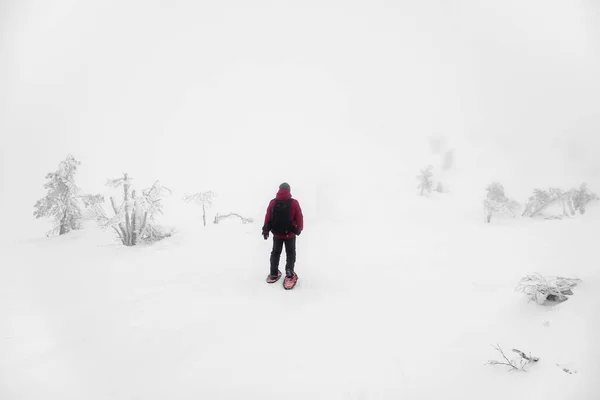 Soft Focus Lonely Traveler Backpack Snowshoes Walks Snowy Slope Foggy — Stock Photo, Image